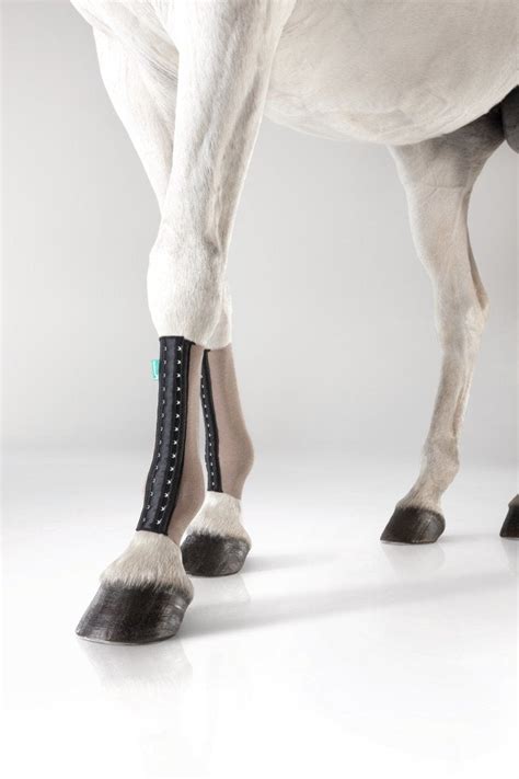 equicrown canada|VETKINTAPE® & EQUICROWN® Combined 2.